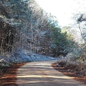 Meet your Posher, Maxine